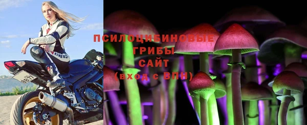 бутират Гусь-Хрустальный