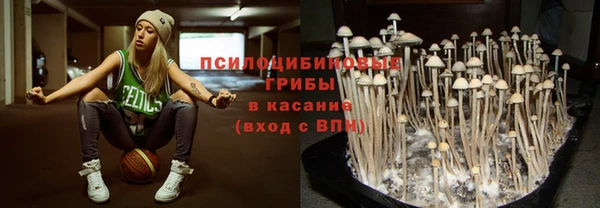 героин Алзамай