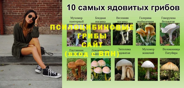 прущая мука Алексеевка