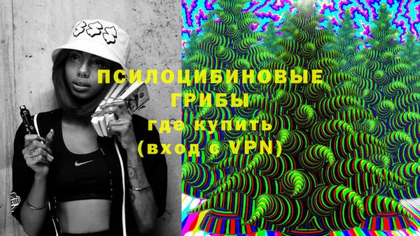 индика Гусев