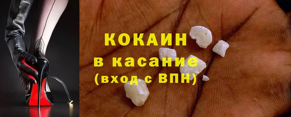 стафф Дмитриев