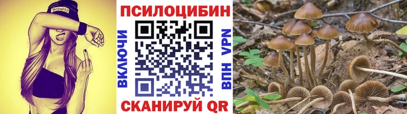 Псилоцибиновые грибы Magic Shrooms  Оса 